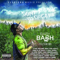 Thumbnail for the Baby Bash - El Pinche link, provided by host site