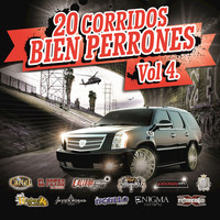 Image of Código FN linking to their artist page due to link from them being at the top of the main table on this page
