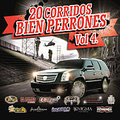 Thumbnail for the Código FN - El RM link, provided by host site