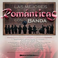 Thumbnail for the La Original Banda El Limón de Salvador Lizárraga - El Tiempo Que Te Quede Libre link, provided by host site