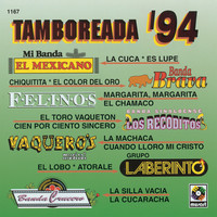 Thumbnail for the Banda Sinaloense Los Recoditos - El Toro Vaqueton link, provided by host site