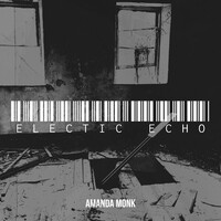 Thumbnail for the AMANDA MONK - Electic Echo link, provided by host site