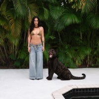 Thumbnail for the Kat Dahlia - Eléctrika link, provided by host site