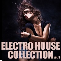 Thumbnail for the The Whiteliner - Electro - Love N Joy Remix link, provided by host site