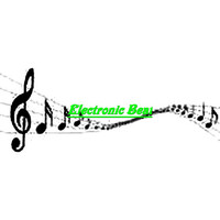 Thumbnail for the Hoa - Electronic Beat link, provided by host site