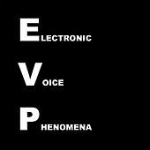 Thumbnail for the Daniele Santini - Electronic Voice Phenomena link, provided by host site