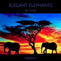 Thumbnail for the DJ Chris - Elegant elephants link, provided by host site