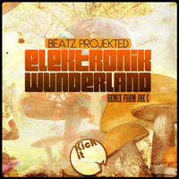 Thumbnail for the Joe C - Elektrik Wunderland - Joe C Remix link, provided by host site