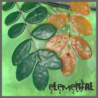 Thumbnail for the Elemental - Elemental link, provided by host site