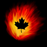Thumbnail for the Leaf - Elements link, provided by host site