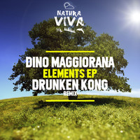 Thumbnail for the Dino Maggiorana - Elements link, provided by host site