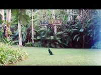 Thumbnail for the Matt Corby - Elements link, provided by host site