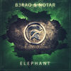 Thumbnail for the B3RAO - Elephant link, provided by host site