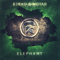 Thumbnail for the B3RAO - Elephant link, provided by host site