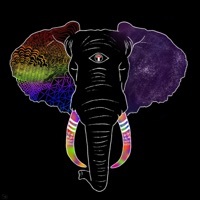 Thumbnail for the Elephant - Elephant link, provided by host site
