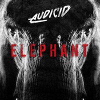Thumbnail for the Audicid - Elephant link, provided by host site