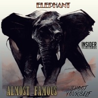 Thumbnail for the Almost Famous - Elephant link, provided by host site