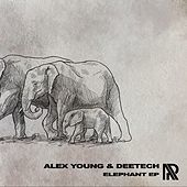 Thumbnail for the Alex Young - Elephant link, provided by host site