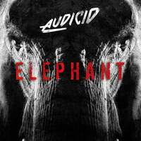 Thumbnail for the Audicid - Elephant link, provided by host site