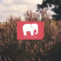 Thumbnail for the Elephant - Elephant link, provided by host site