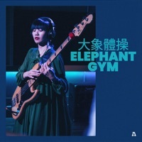 Thumbnail for the Elephant Gym - Elephant Gym (Audiotree Live) link, provided by host site