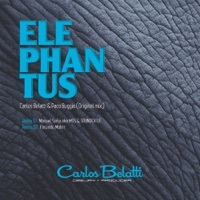 Thumbnail for the Carlos Belatti - Elephantus link, provided by host site