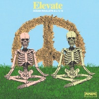 Thumbnail for the Ocean Roulette - Elevate link, provided by host site