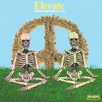 Thumbnail for the Ocean Roulette - Elevate link, provided by host site