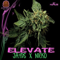 Thumbnail for the Jayds - Elevate link, provided by host site