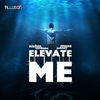 Thumbnail for the Nishin Verdiano - Elevate Me link, provided by host site