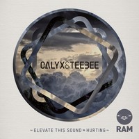 Thumbnail for the Calyx & TeeBee - Elevate This Sound / Hurting link, provided by host site