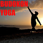 Thumbnail for the Spirit - Elevation to Soul link, provided by host site