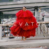 Thumbnail for the Gavin Turek - Elevator link, provided by host site