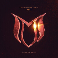 Thumbnail for the Last Soldier - #ELI link, provided by host site