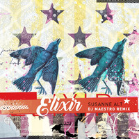 Thumbnail for the Susanne Alt - Elixir (DJ Maestro Remix) link, provided by host site
