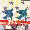Thumbnail for the Susanne Alt - Elixir (DJ Maestro Remix) link, provided by host site