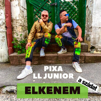 Thumbnail for the L.L. Junior - ELKENEM (a szádat) link, provided by host site