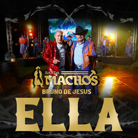 Thumbnail for the Banda Machos - Ella link, provided by host site