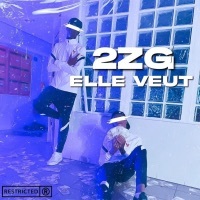 Thumbnail for the 2ZG - Elle-veut link, provided by host site