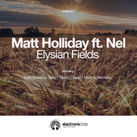 Thumbnail for the Matt Holliday - Elysian Fields link, provided by host site