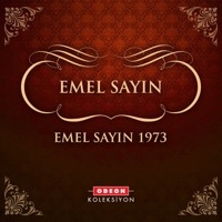 Image of Emel Sayın linking to their artist page due to link from them being at the top of the main table on this page