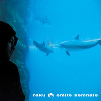 Thumbnail for the Raku - Emite Semnale link, provided by host site