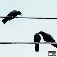 Thumbnail for the 808LOUIE - Emotions link, provided by host site