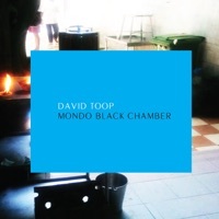 Image of David Toop linking to their artist page due to link from them being at the top of the main table on this page