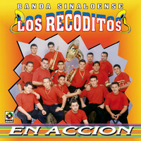 Thumbnail for the Banda Sinaloense Los Recoditos - En Acción link, provided by host site