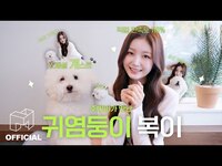 Thumbnail for the tripleS - 주빈이가 만난 사람 말고 동물은 누구?🐶🤍 | EN | SIGNAL link, provided by host site