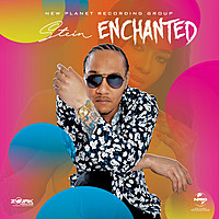 Thumbnail for the Stein - Enchanted link, provided by host site