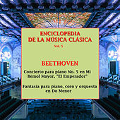 Thumbnail for the Peter Toperczer - Enciclopedia de la Música Clásica Vol. 5 link, provided by host site