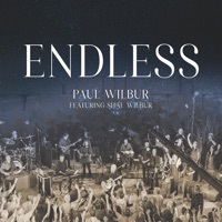 Thumbnail for the Paul Wilbur - Endless link, provided by host site