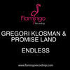 Thumbnail for the Gregori Klosman - Endless link, provided by host site